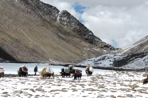 Les Lacs Cheuteu - Tibet
