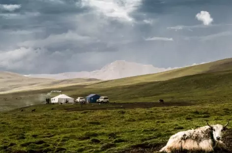 Paysage nomade, Kham - Tibet 