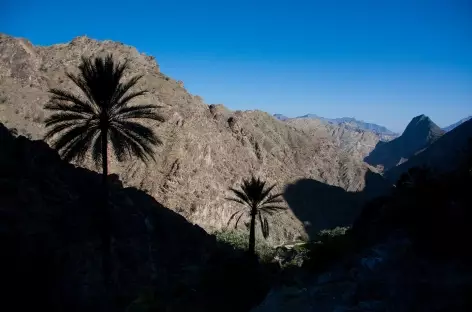 Trek dans le Wadi Bani Awf - Oman