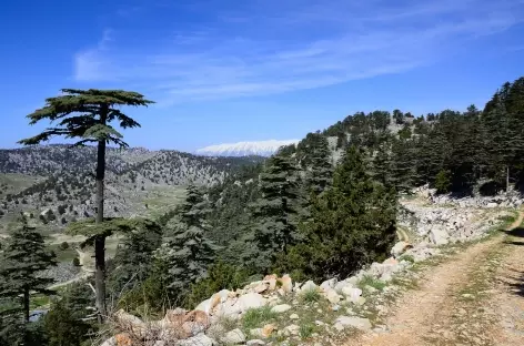 Rando vers le col du Mont Olympe, Lycie - Turquie