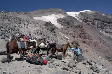 Chargement de nos mules, Mont Ararat