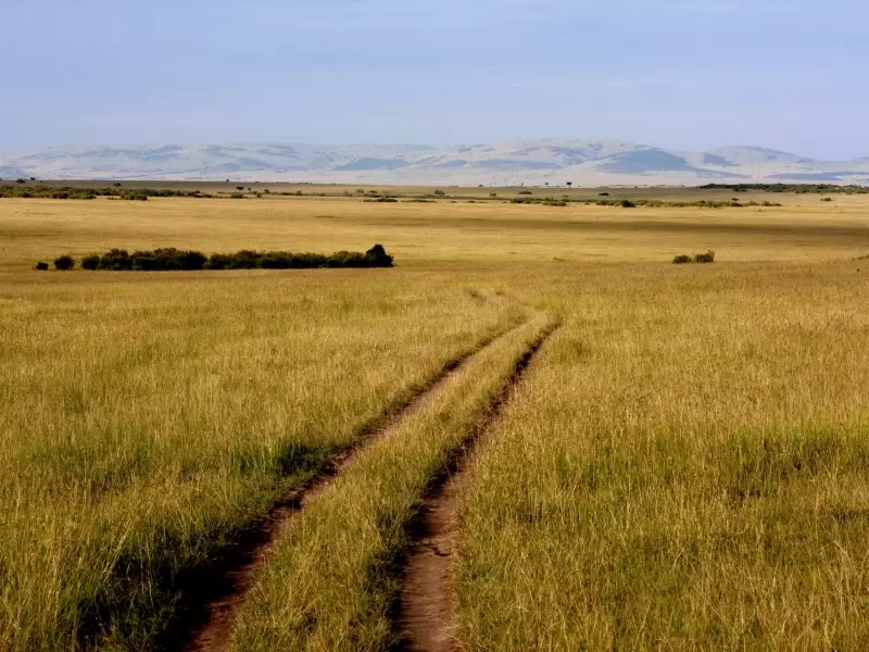 Pistes du Masai Mara - Kenya, &copy; Julien Erster - TIRAWA 