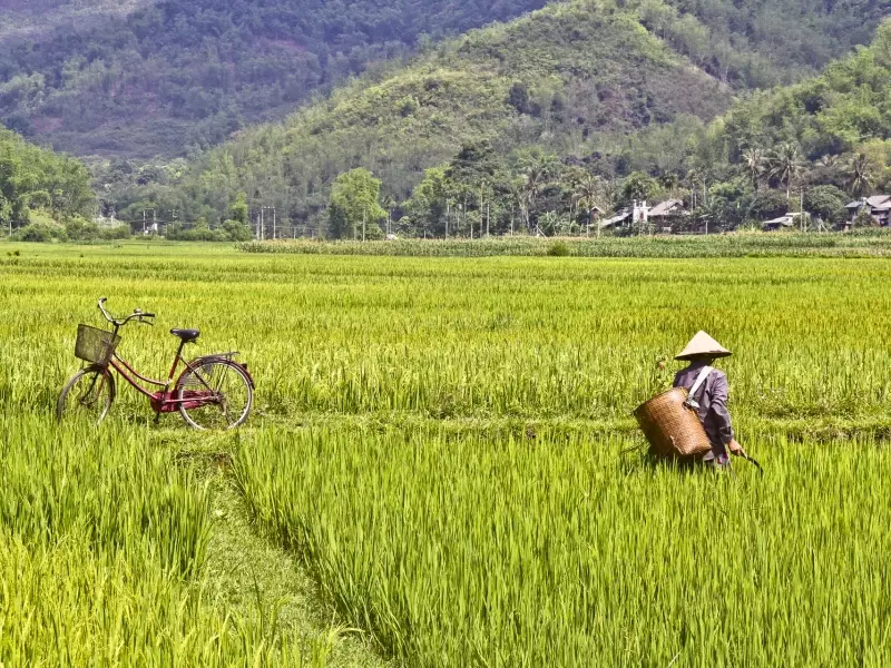 Balade dans les rizières de Mai Chau Vietnam, &copy; Julien Freidel - Tirawa 