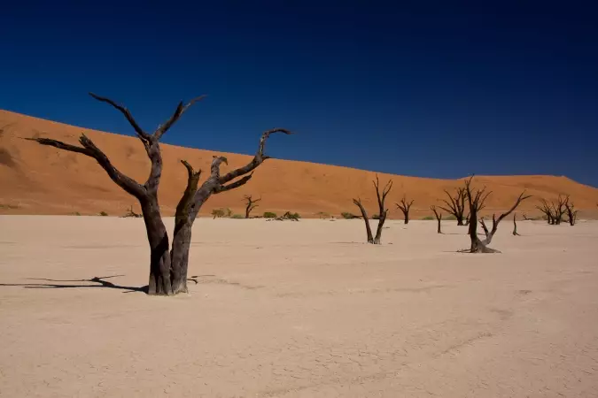 Voyages sur-mesure avec Tirawa : Namibie