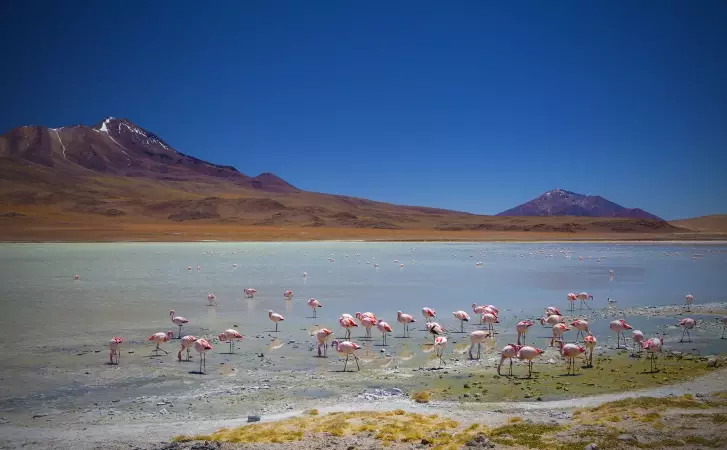 Voyages sur-mesure avec Tirawa : Bolivie