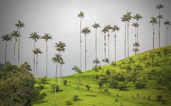 Voyages sur-mesure avec Tirawa : Colombie