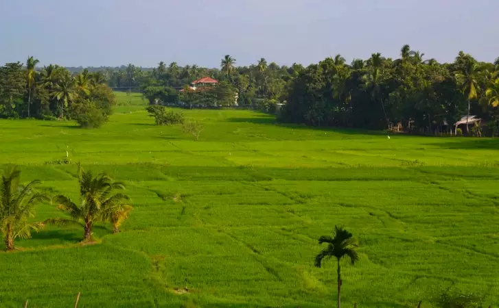 Voyages sur-mesure avec Tirawa : Sri Lanka
