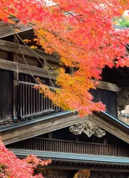 Balade au Coeur du Japon : Japon