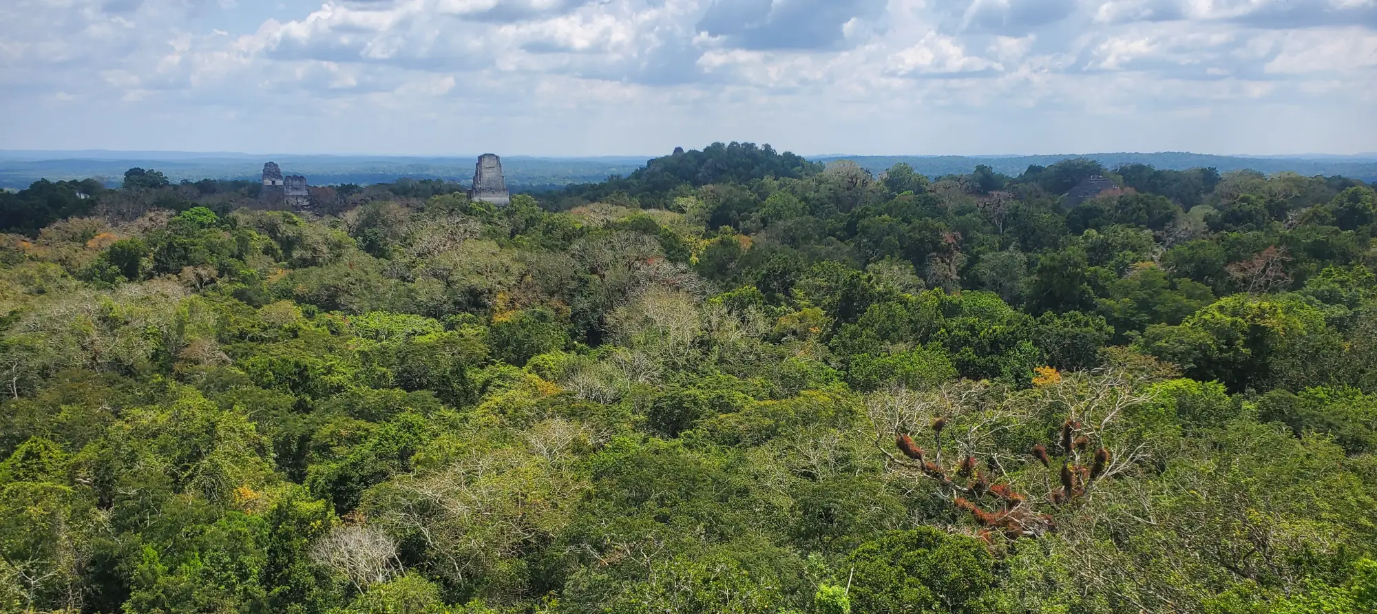 Tikal_Guatemala