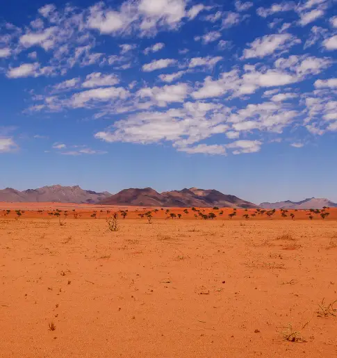 Actualité Tirawa : [Replay Vidéoconférence] Namibie : terre de contrastes, destination d’exception
