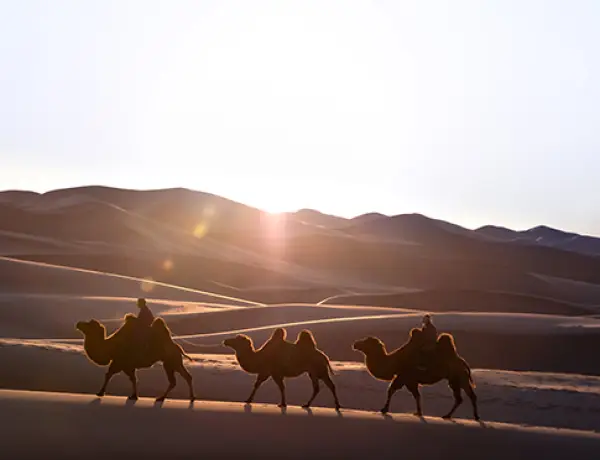 Nos voyages sur-mesure