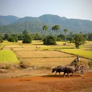 Voyages sur-mesure avec Tirawa : Cambodge