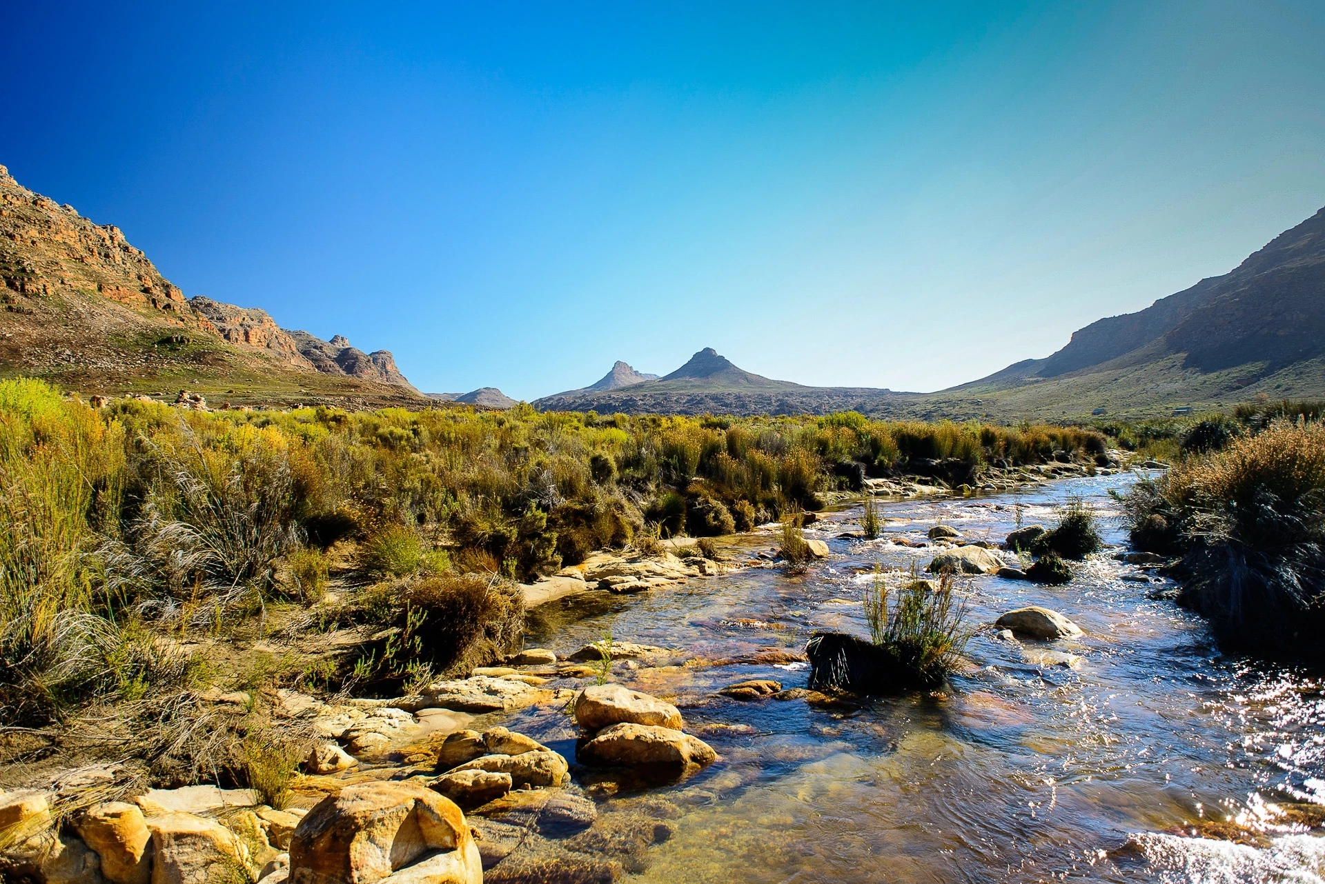 Afrique du Sud, sur la Route des Jardins