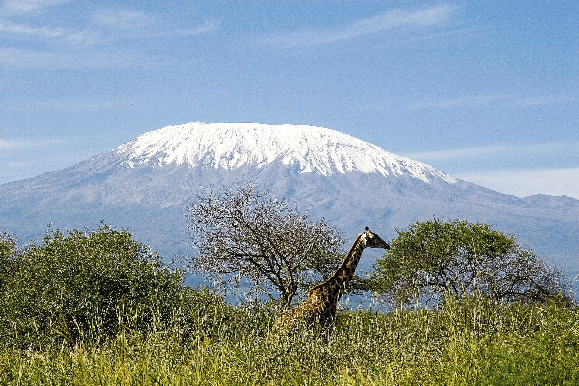 Du Masai Mara à l’Océan Indien