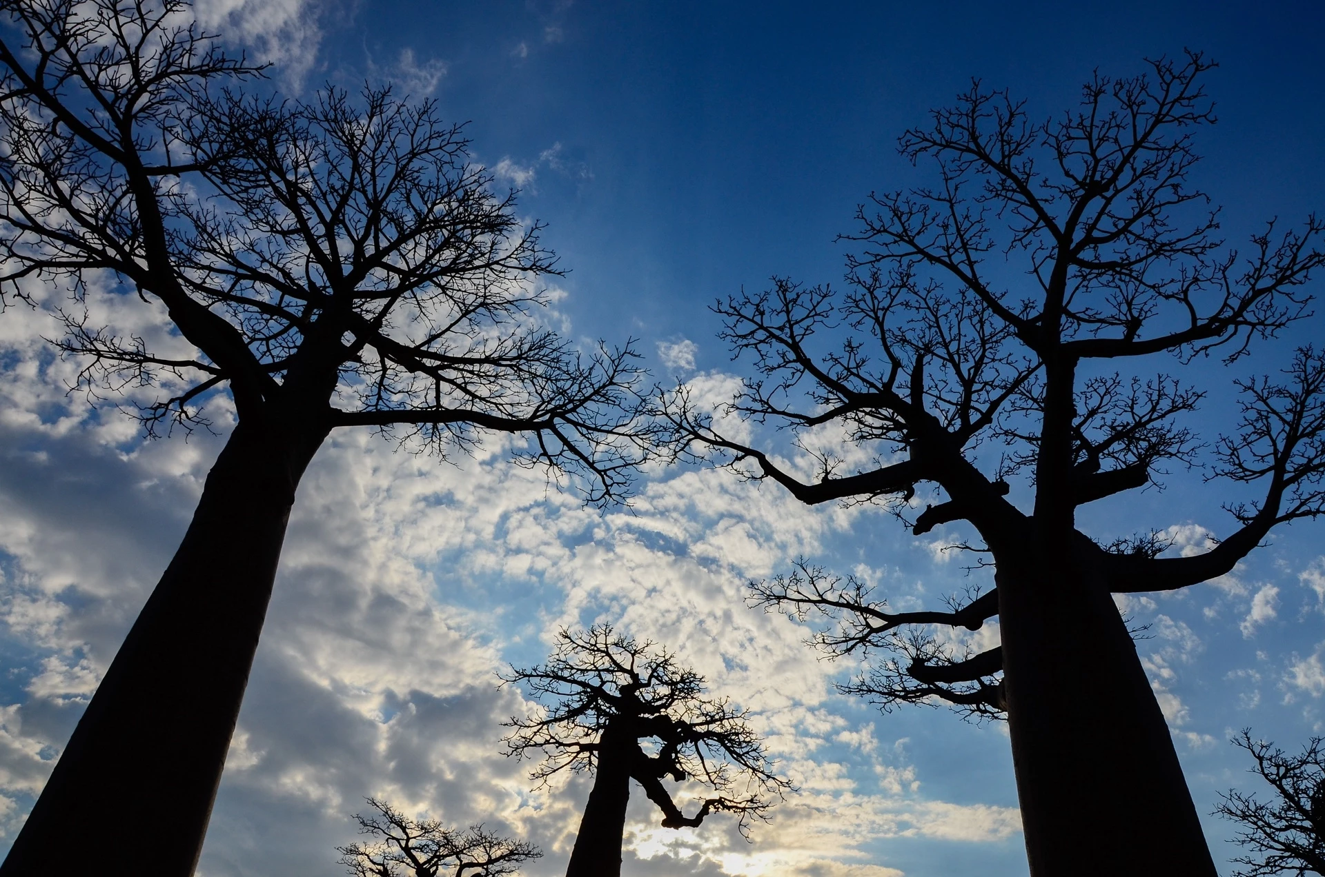 Grande Traversée de Madagascar