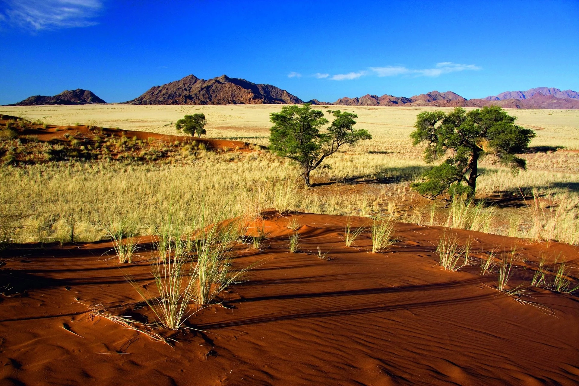 Road trip en Namibie, la route des Incontournables