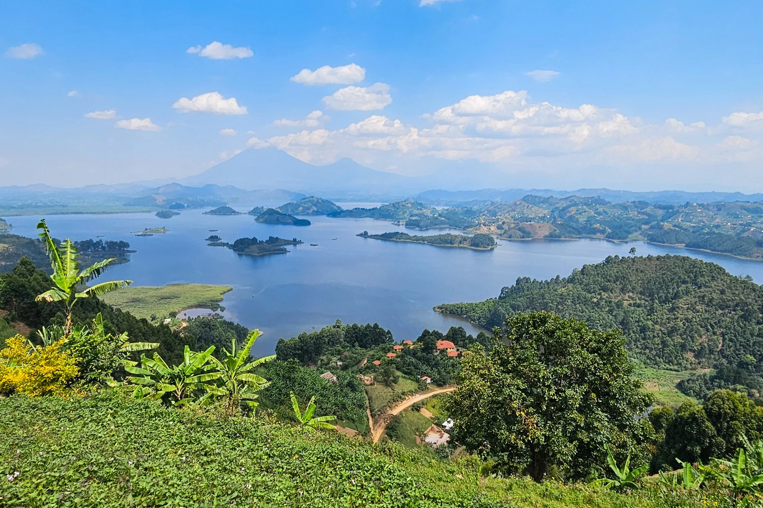 Splendeurs d'Ouganda, de Murchison à Bwindi