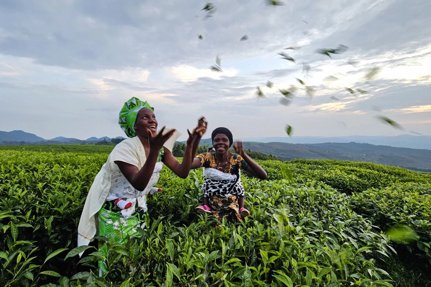 Rwanda, entre Lacs et Collines