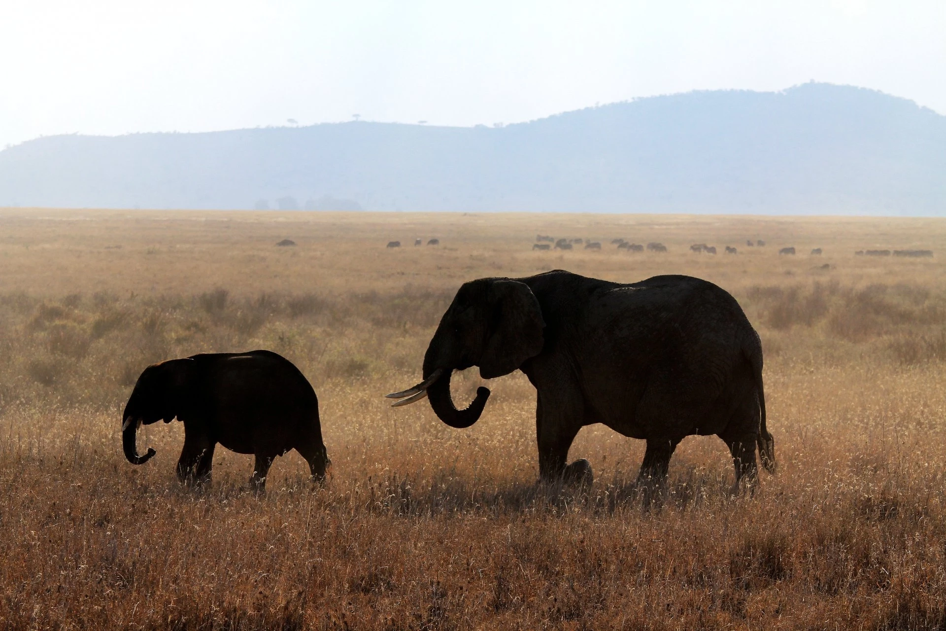 Aventures en Tanzanie en Famille