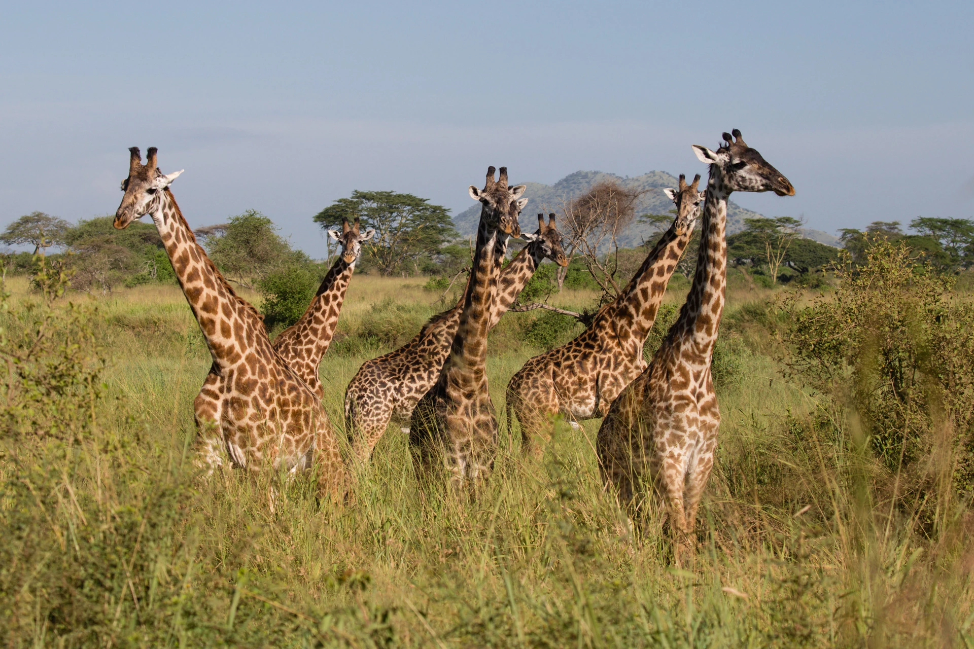 Aventures Tanzaniennes en Famille
