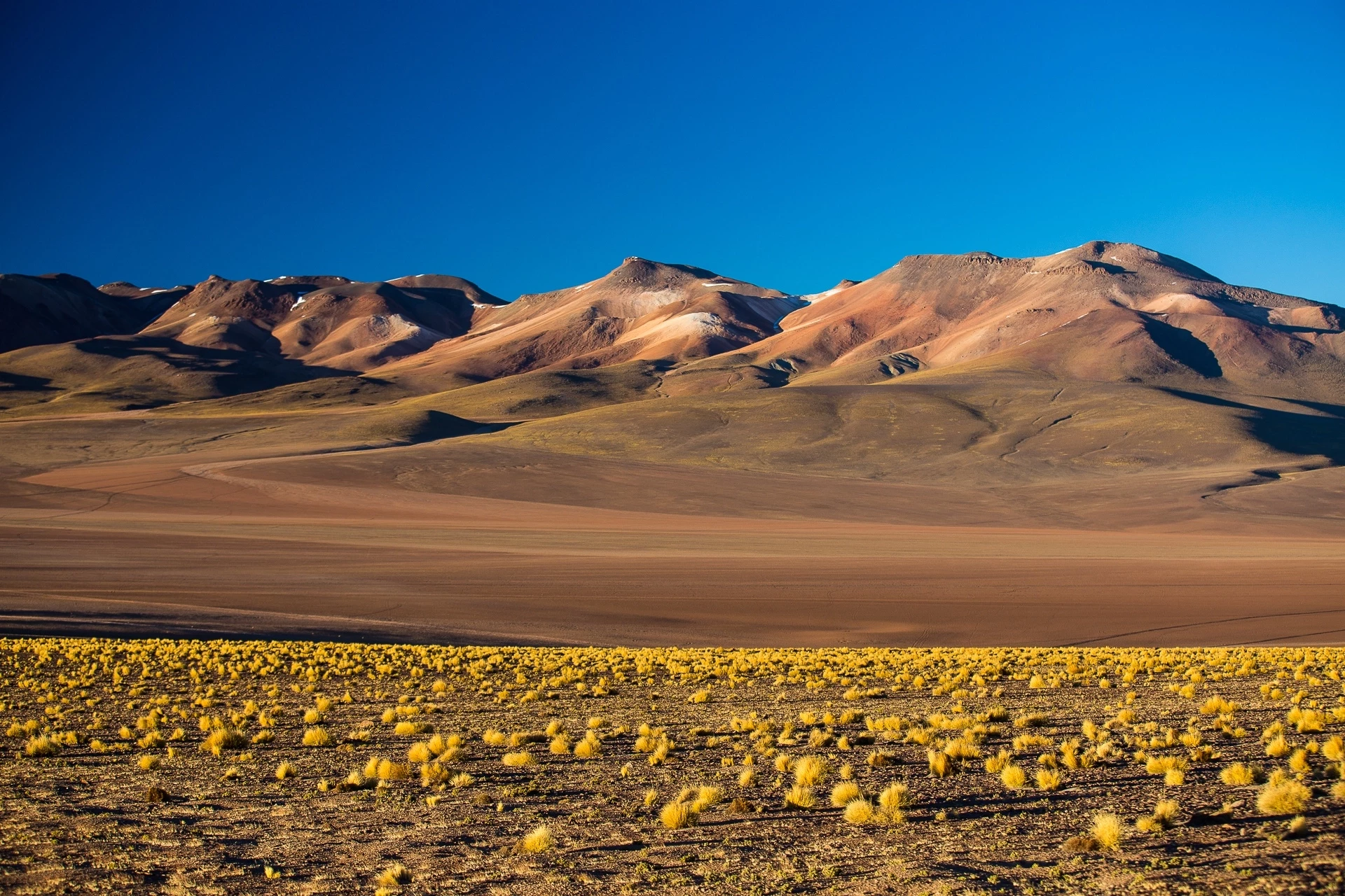 Désert et Salars