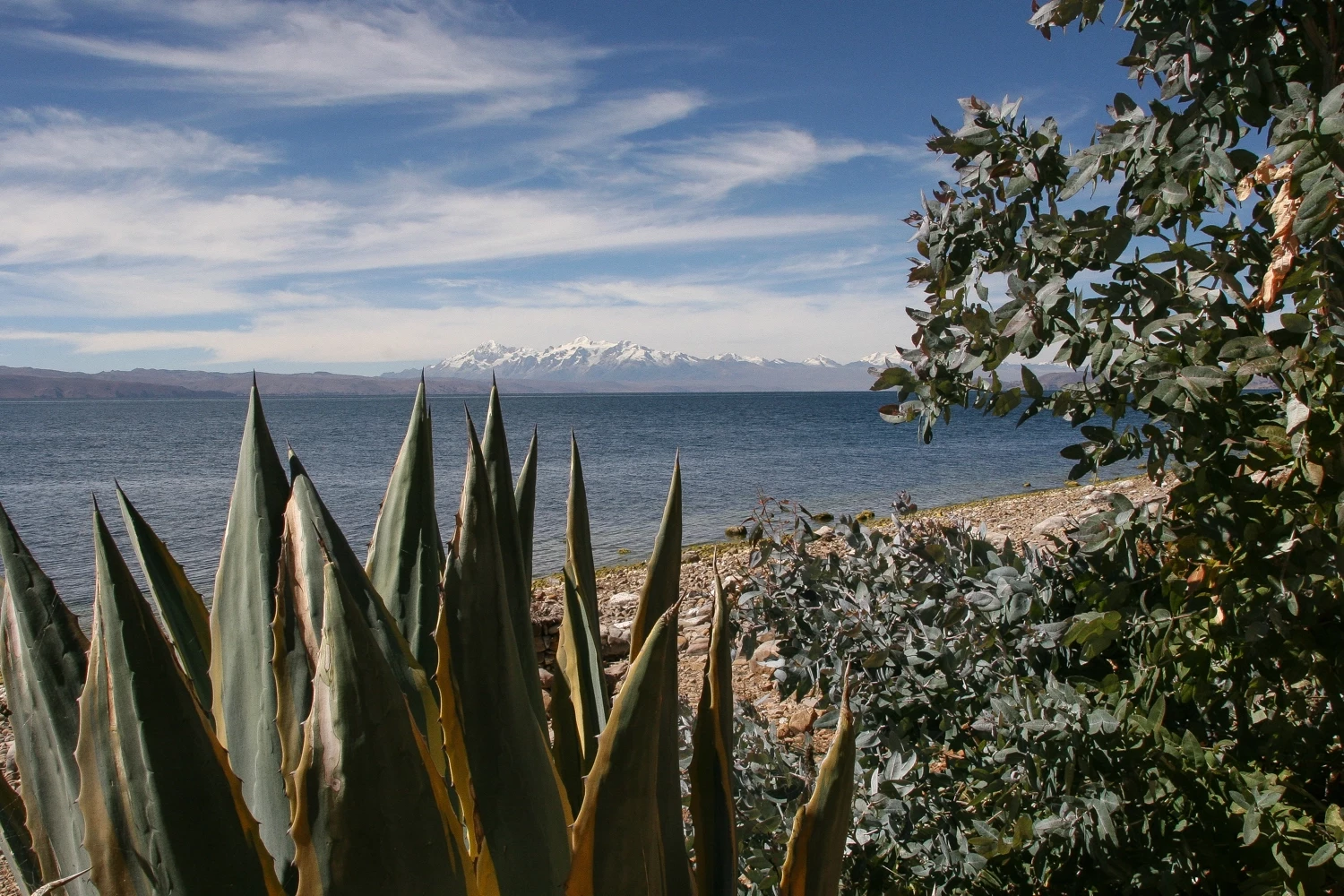 Grande Immersion en Bolivie