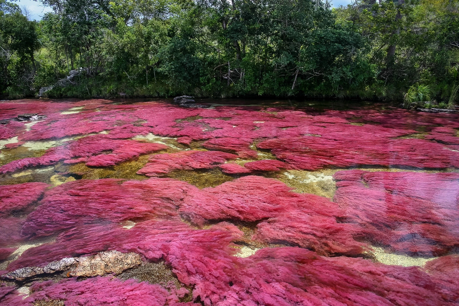Découverte des Trésors Naturels de Colombie