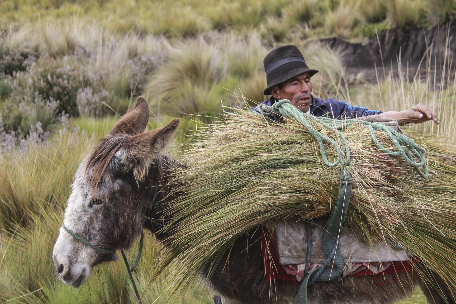 Le Grand Tour de l'Equateur