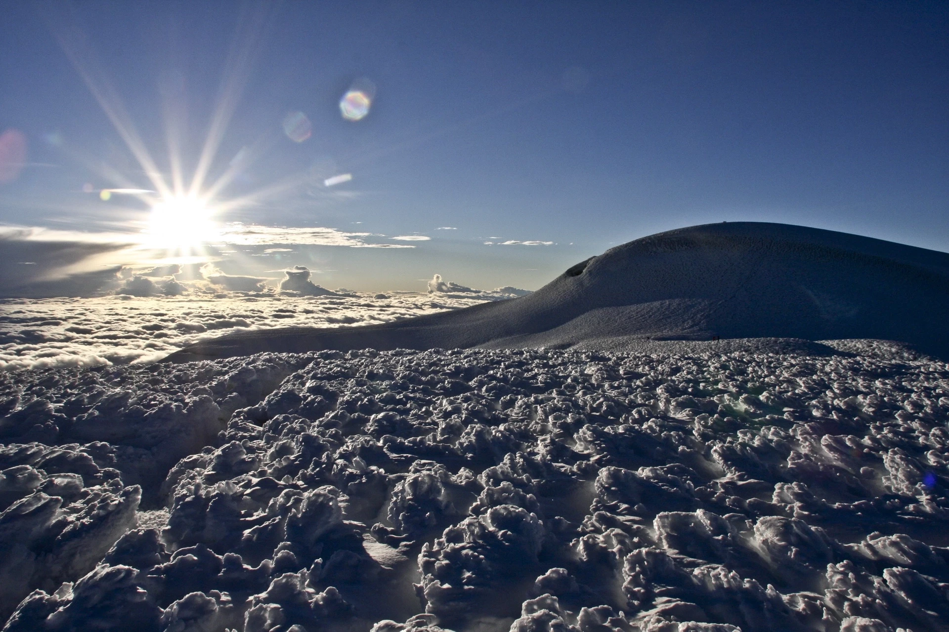 Cimes d'Equateur