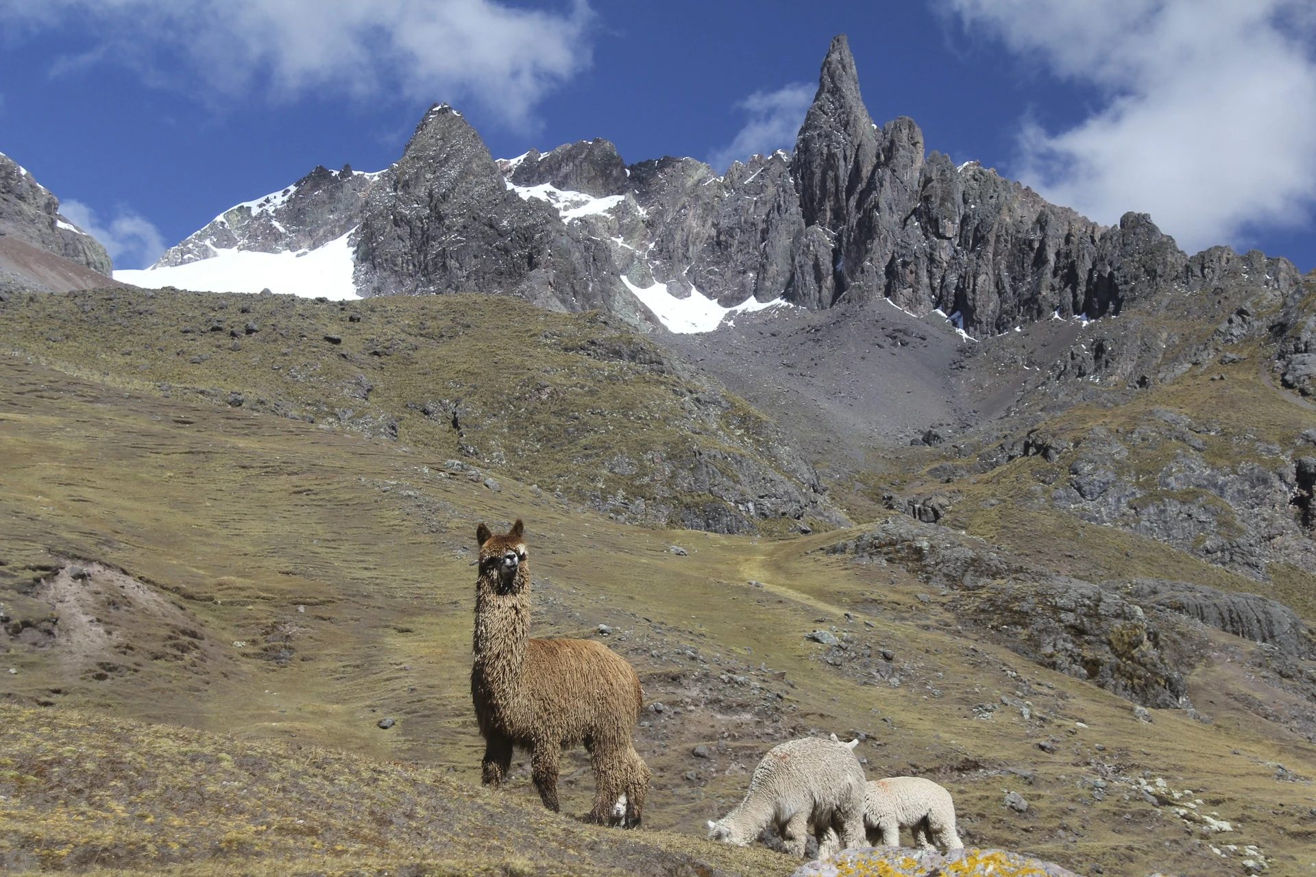 Chemin de l'Inca et Ausangate
