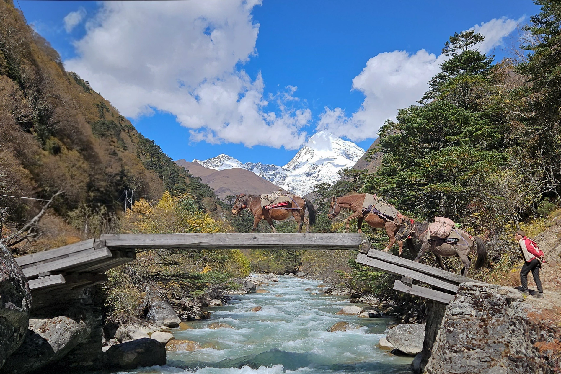 Trek du Jomolhari et Splendeurs du Bhoutan