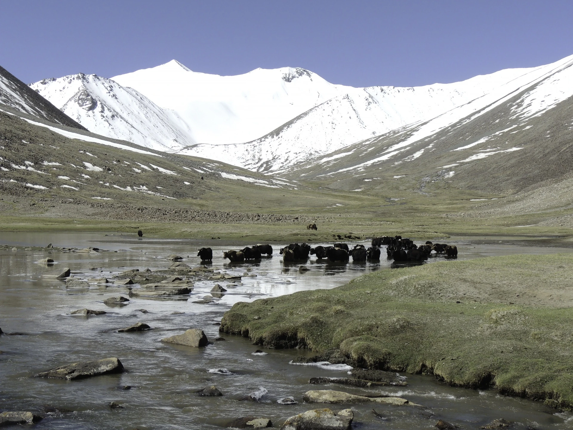 Ladakh et vallée de la Markha