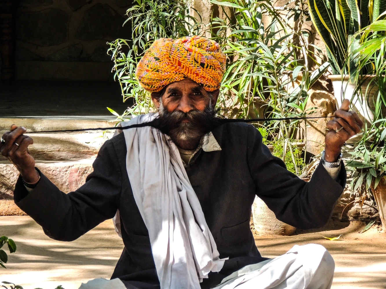Les Emblématiques de l'Inde