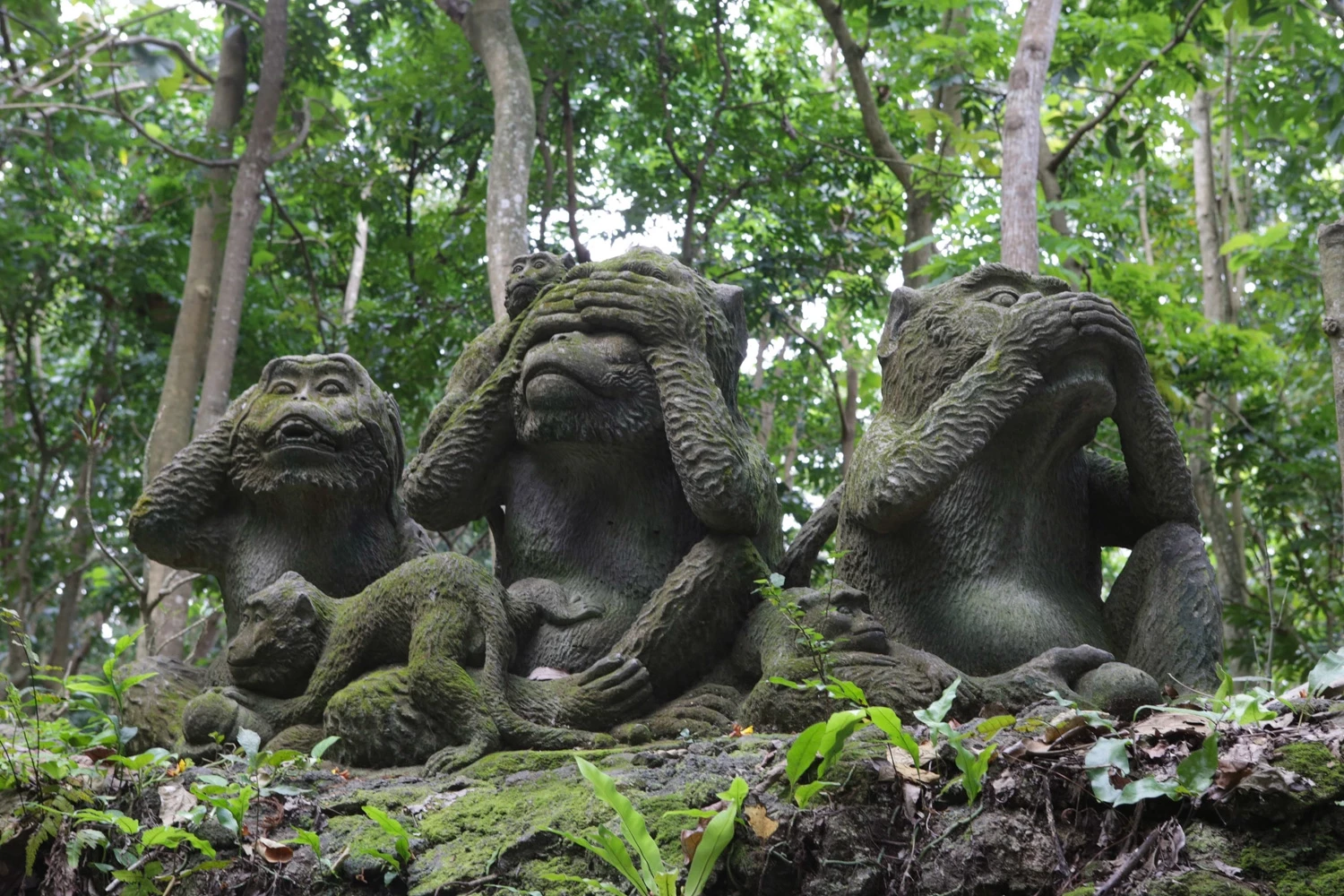 Bali Autrement