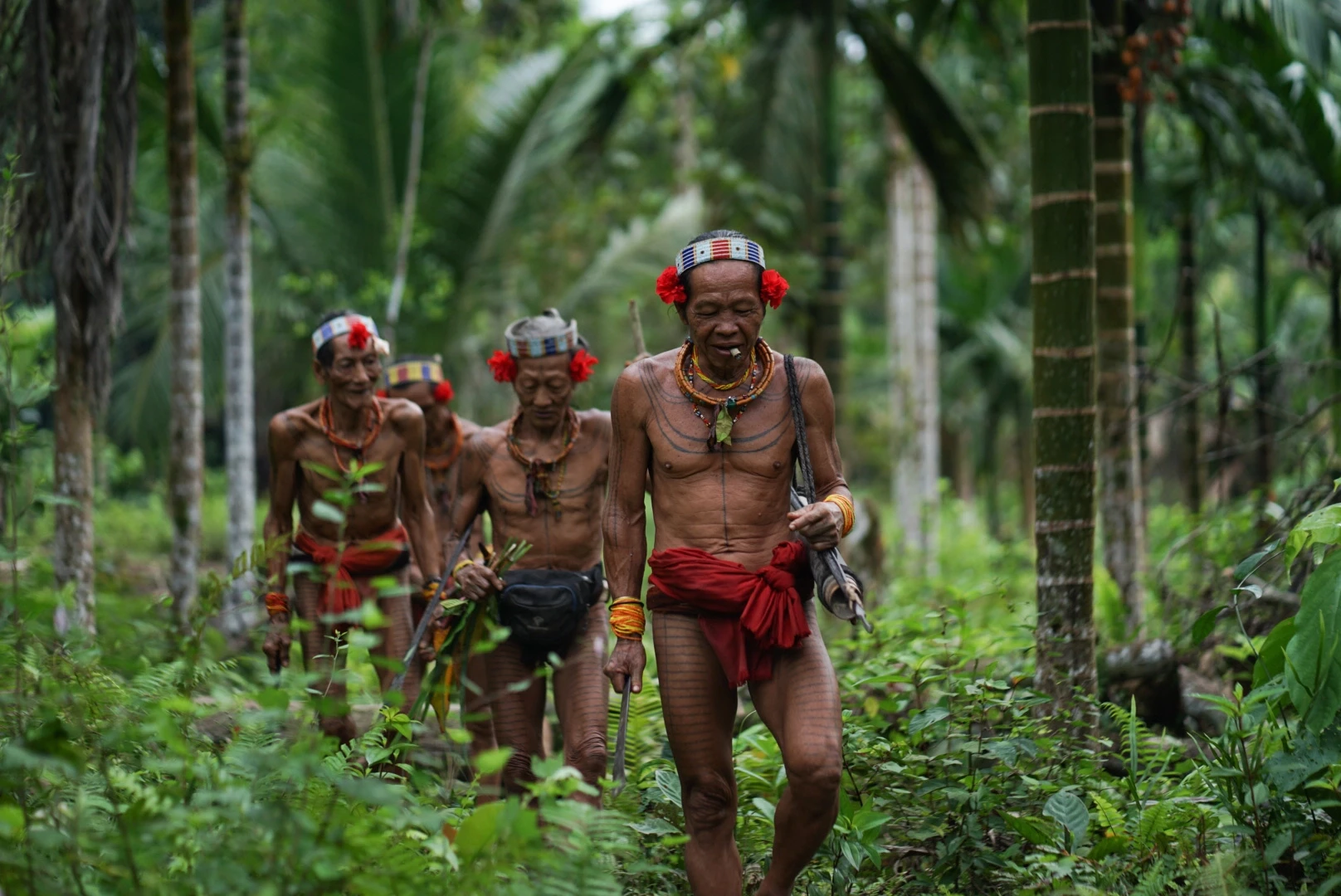 Aventure à Sumatra, Hommes-fleurs et Orangs-outans