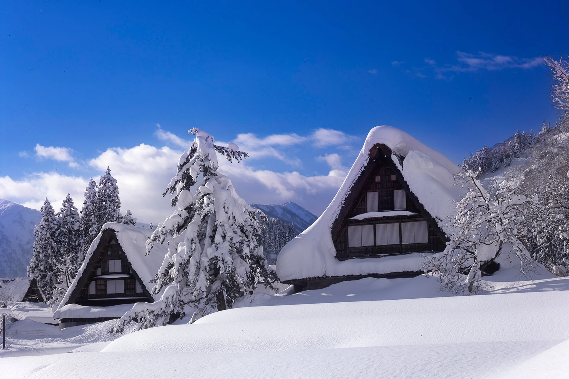 Charmes du Japon en Hiver