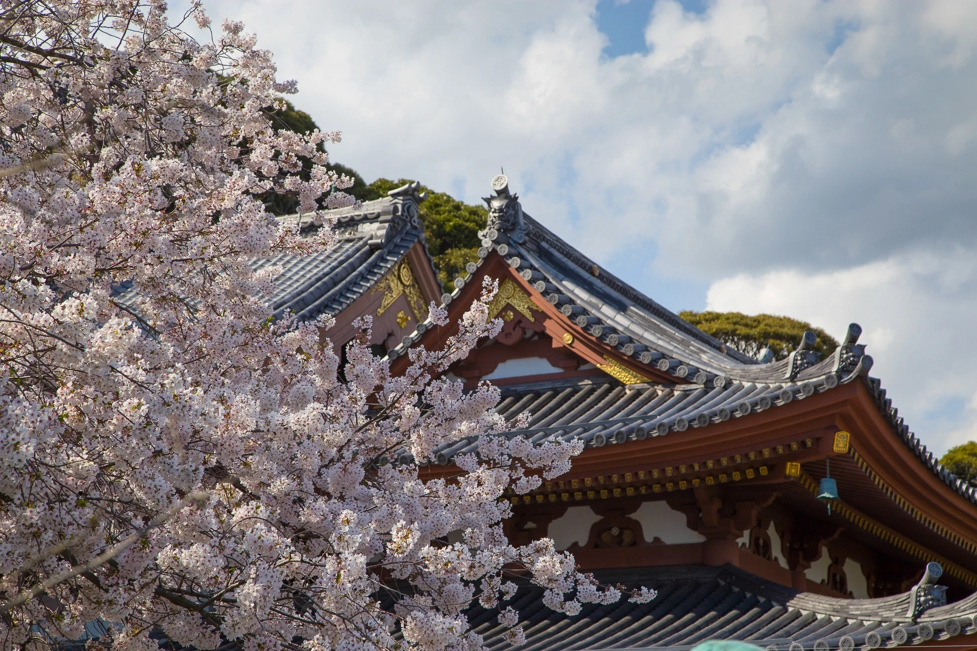 Le Printemps au Japon