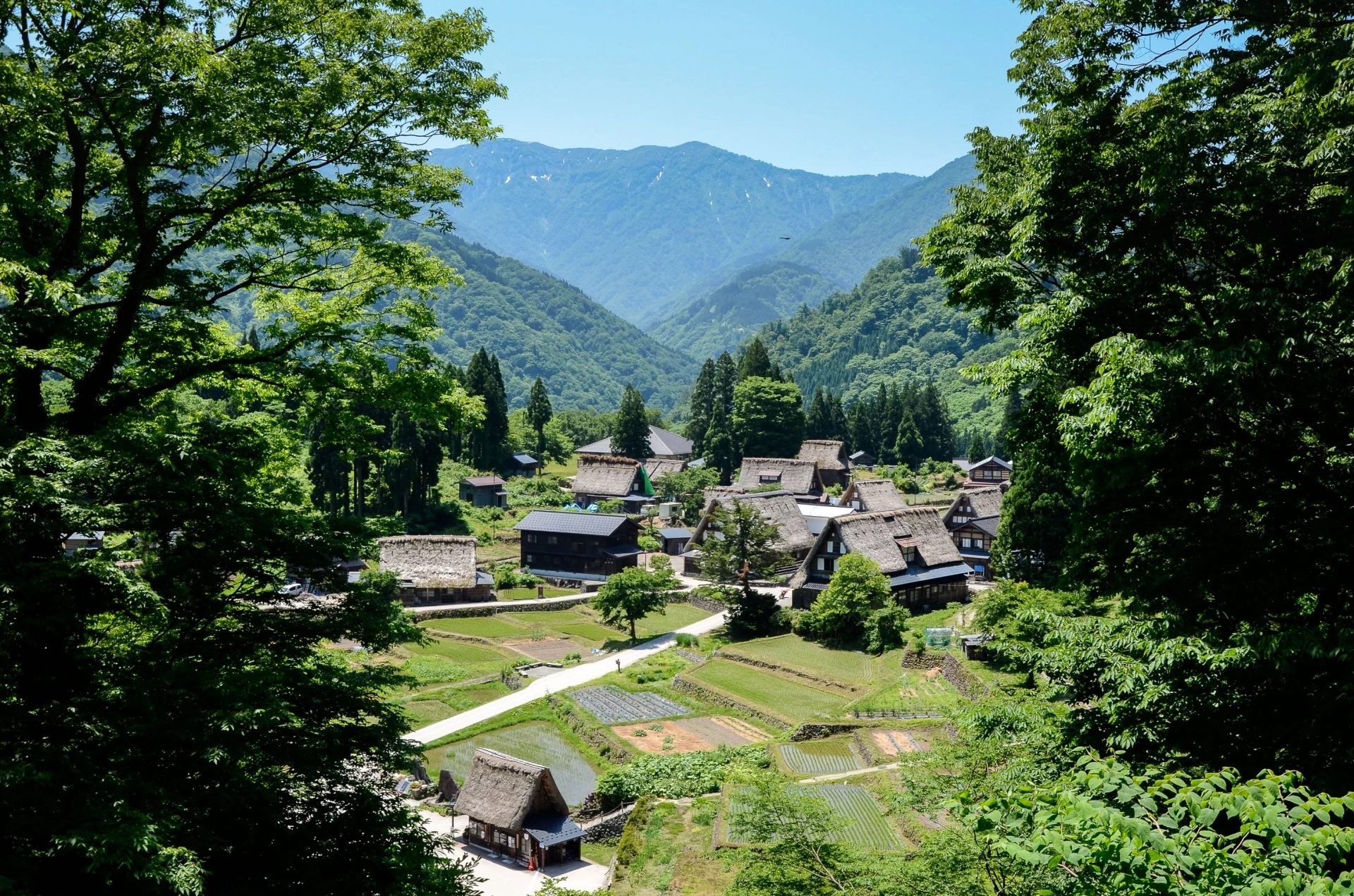 Alpes Japonaises et Mont Fuji