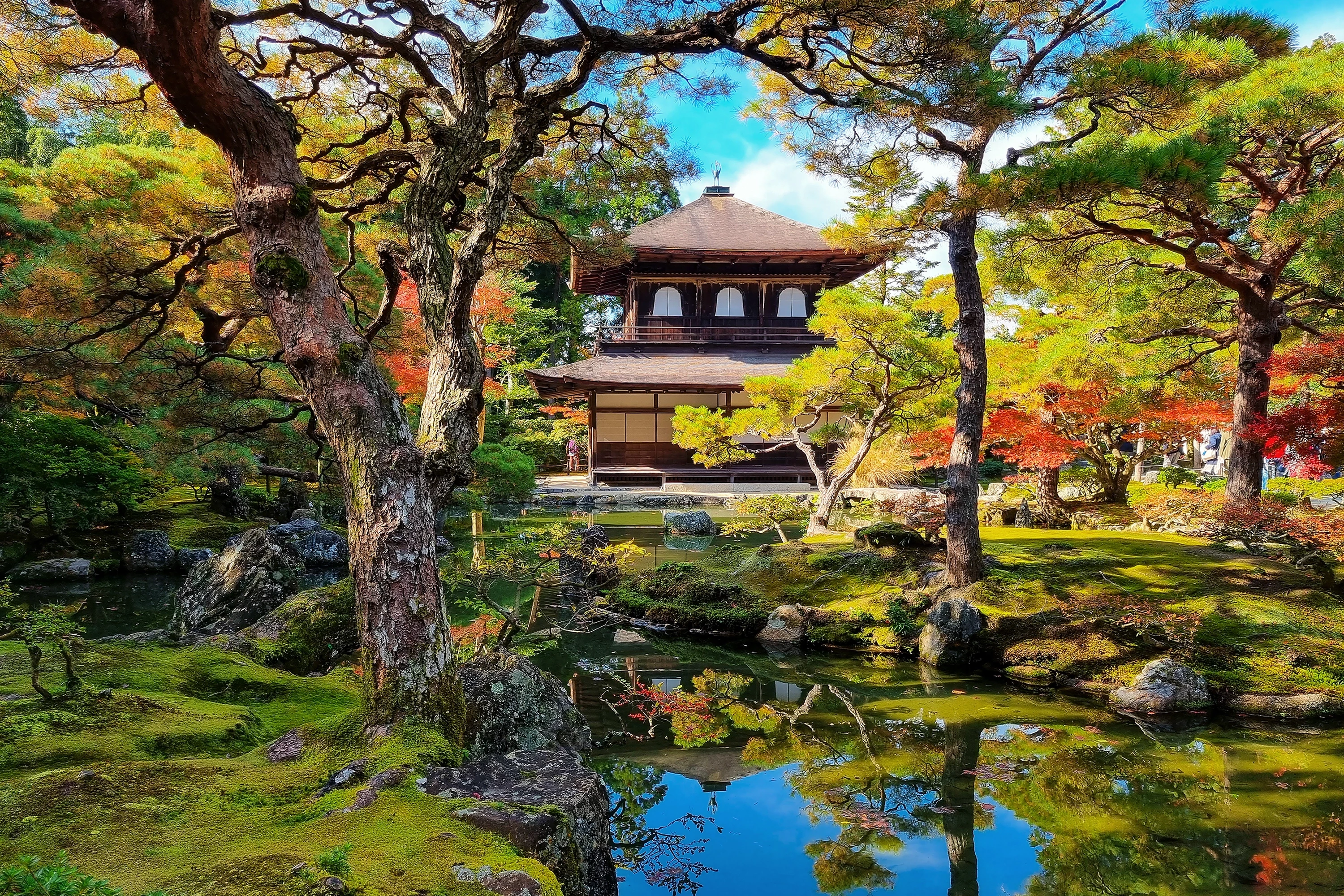 Immersion au Japon en 16 Jours