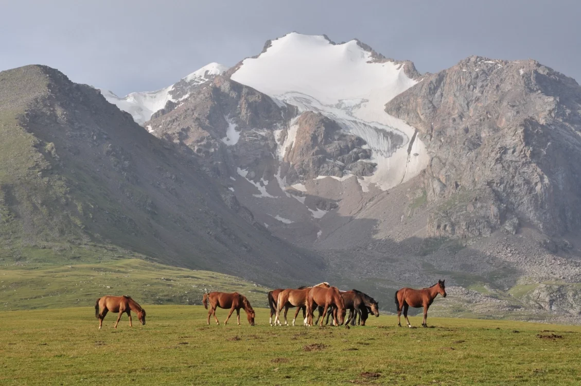 Rencontres nomades en Kirghizie