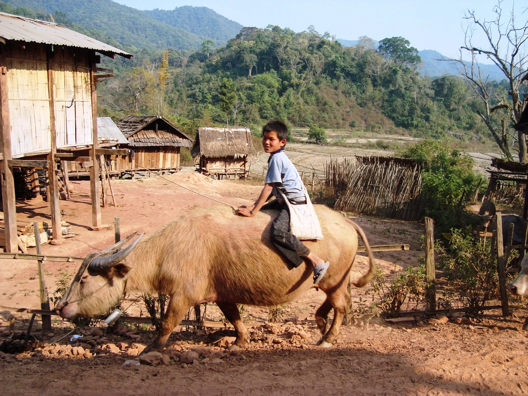 Rencontres & immersion au Laos