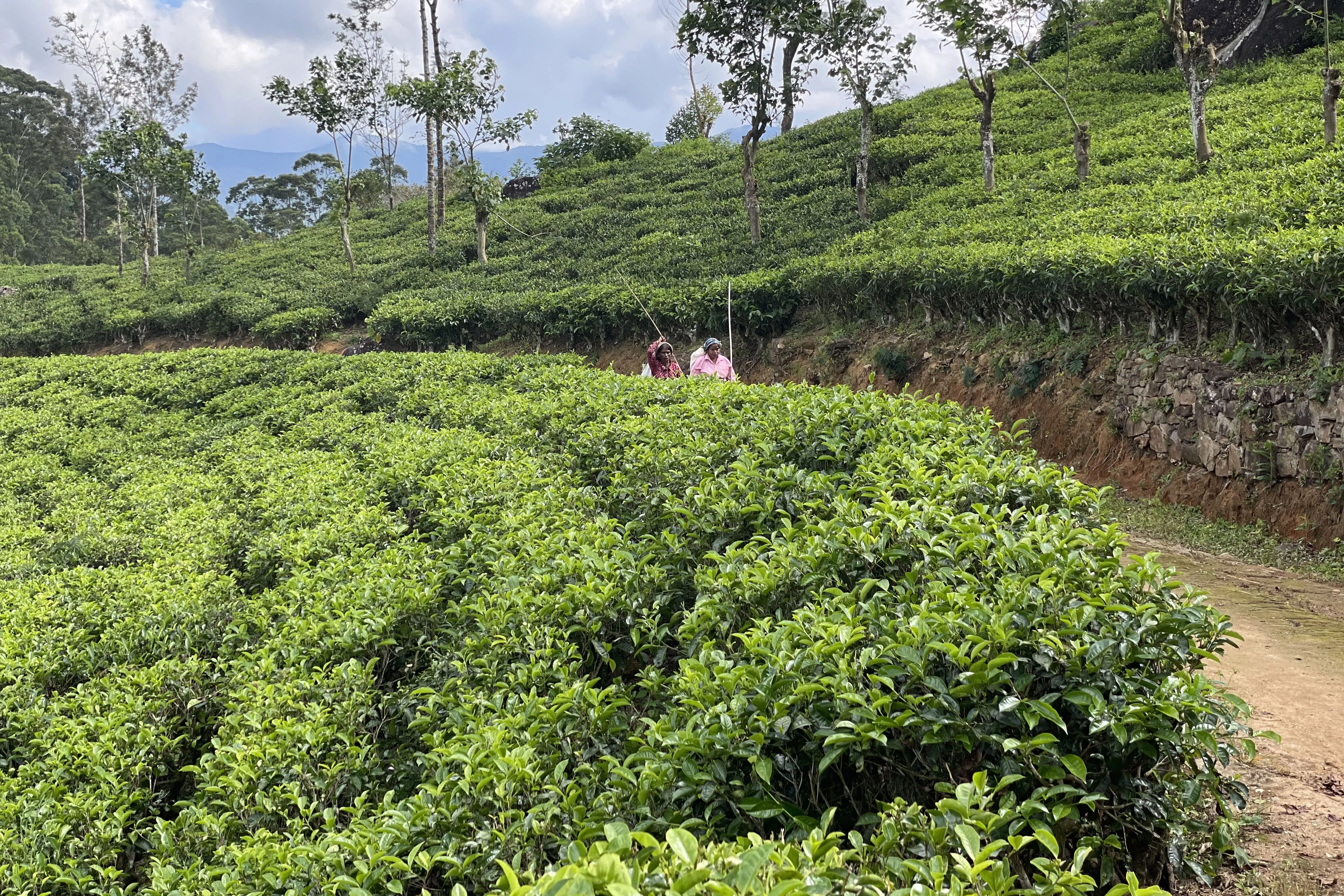 Le Sri Lanka Autrement