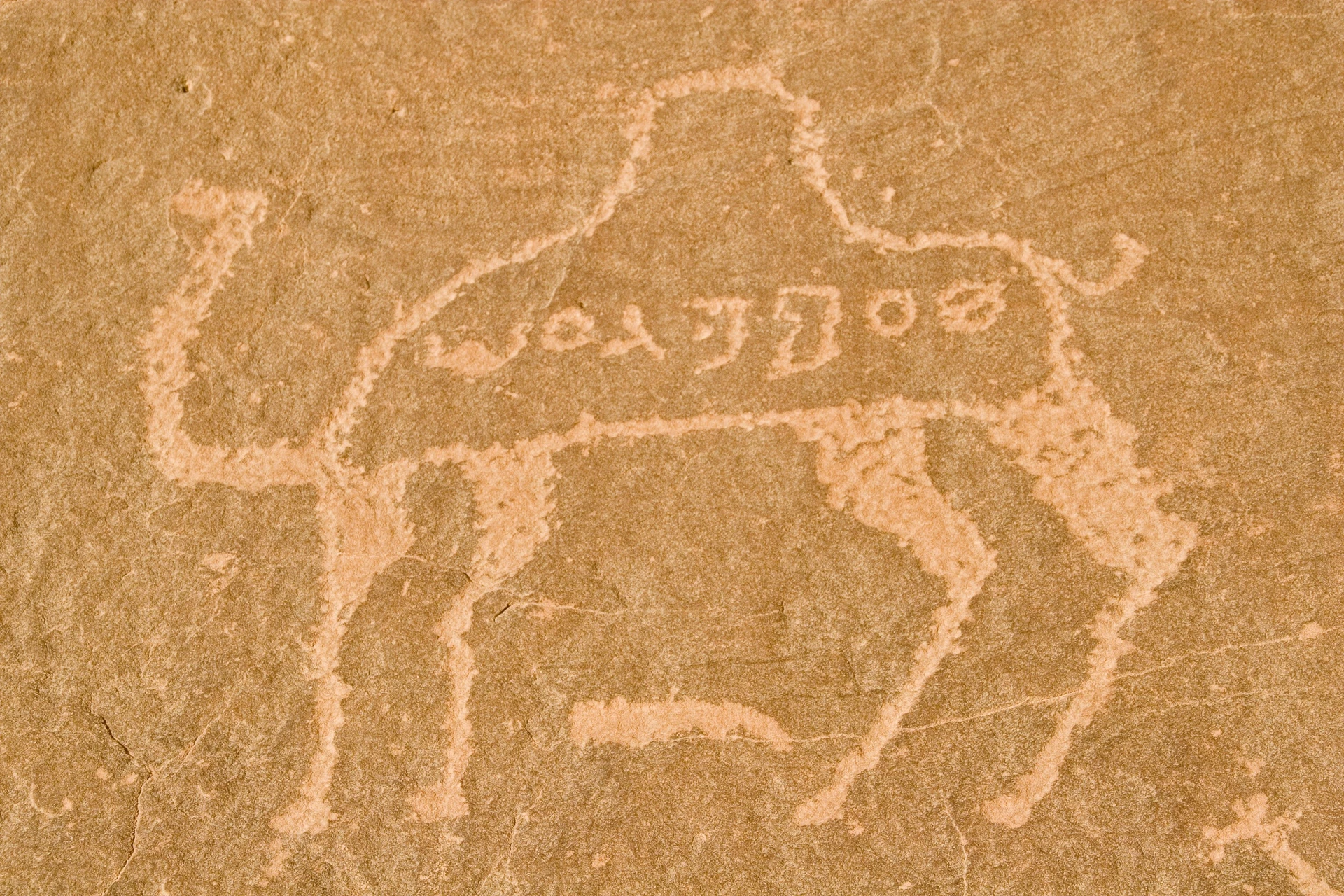 Découverte des Incontournables de Jordanie