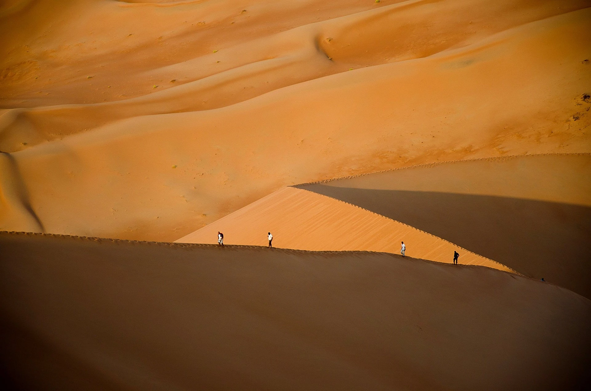 Dhofar, du Désert du Rub al Khali à l'Océan Indien