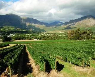 Safaris et Vignobles d'Afrique du Sud : Afrique du Sud