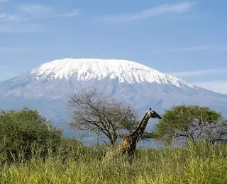 Du Masai Mara à l’Océan Indien : Kenya