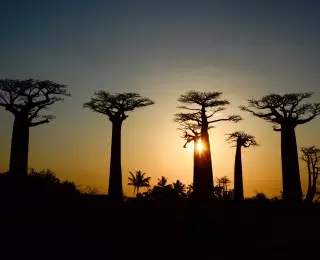 Grand Tour de l’Ile Rouge : Madagascar