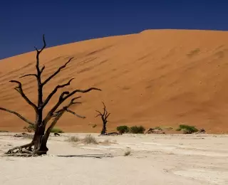 Grand Tour de la Namibie : Namibie