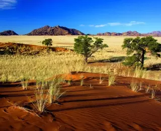 Road trip en Namibie, la route des Incontournables : Namibie
