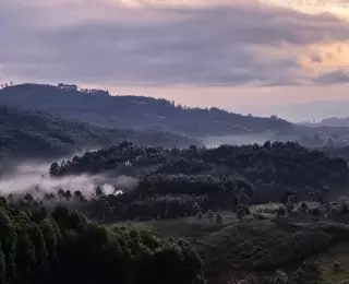 1000 Collines et des Gorilles au Rwanda : Rwanda